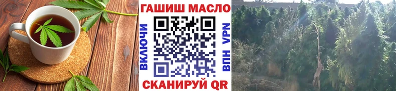 Купить закладки  Михайлов  Canna-Cookies марихуана 