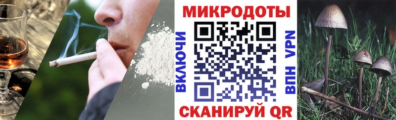 Купить где  Михайлов  Галлюциногенные грибы Psilocybine cubensis 